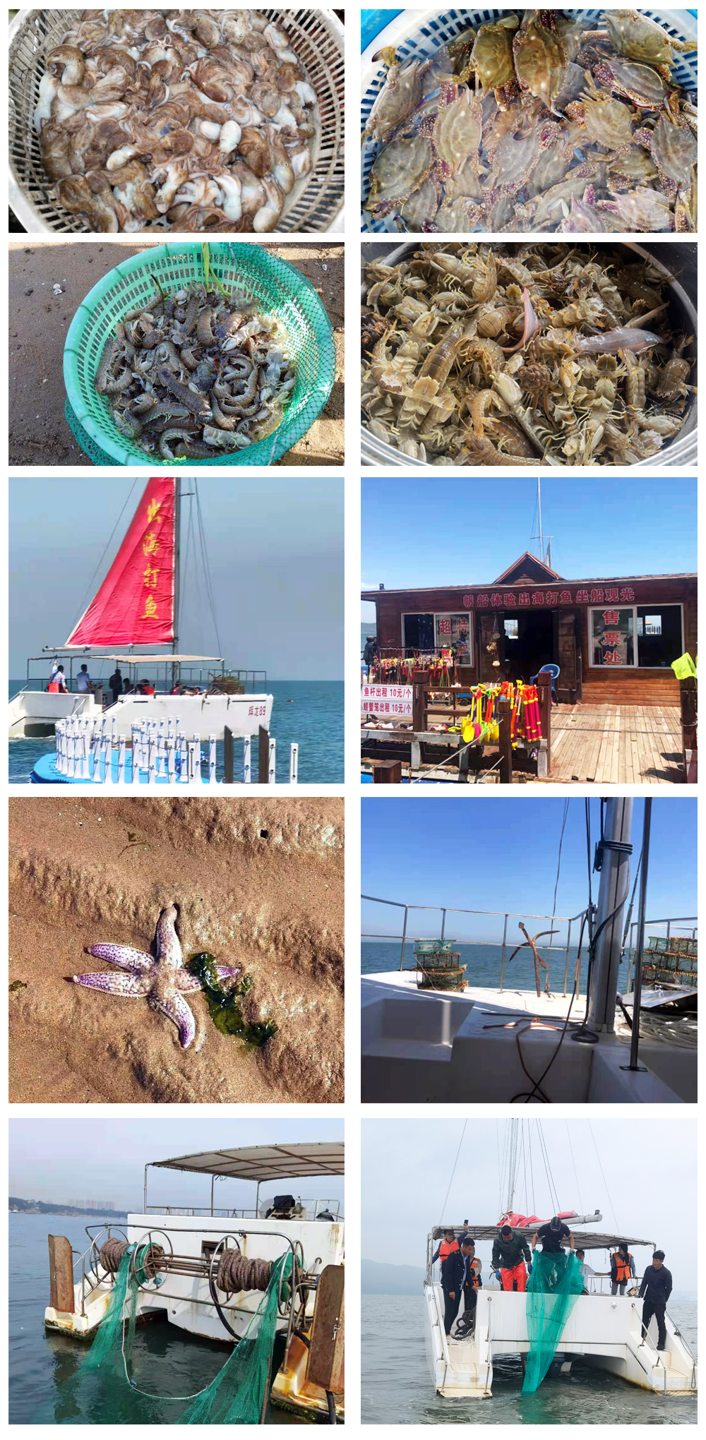 出海打魚